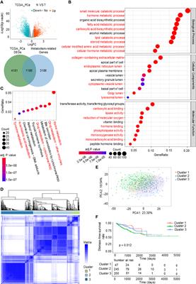 A Metabolism-Related Gene Landscape Predicts Prostate Cancer Recurrence and Treatment Response